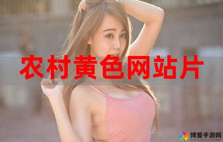 亚洲怡红院：繁华背后的故事