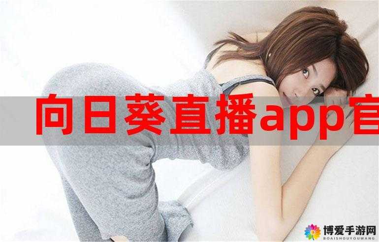 91gbapp 网页版 ：带来全新便捷的在线体验