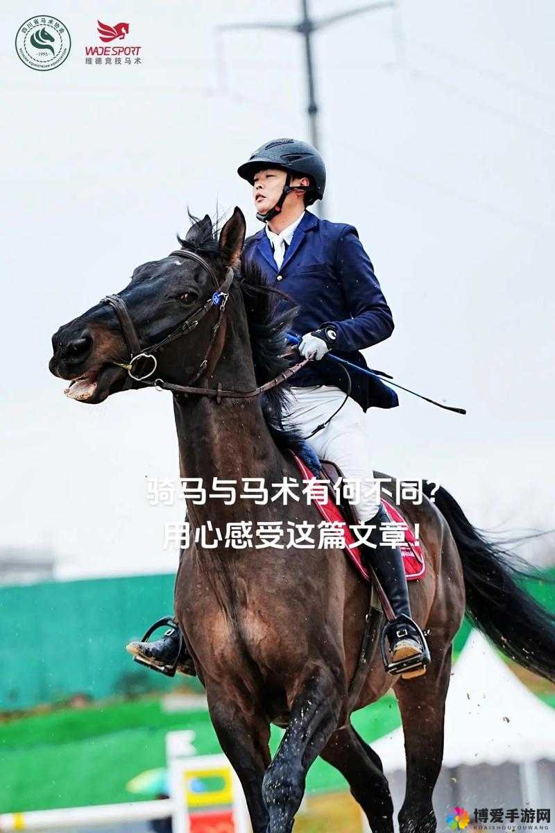 深入交流骑马：探寻骑马之奥秘与乐趣