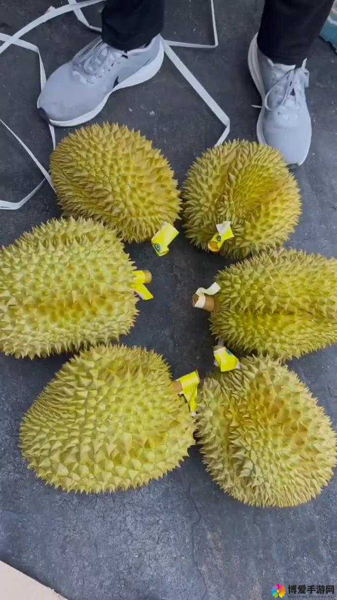 榴莲香蕉苹果哈密瓜水蜜桃：水果家族的甜蜜派对狂欢