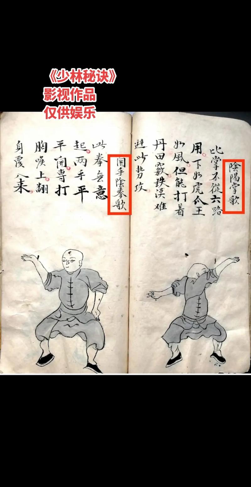 少阳神功内功秘籍武侠渊源
