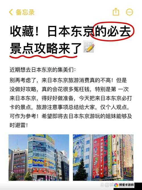 jagnexsmax 在日本：探索其独特魅力与发展历程