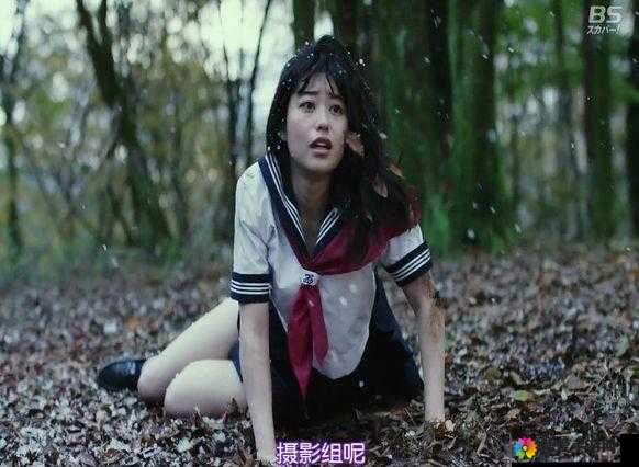 免费成年人电影引发热议：你会选择观看吗？