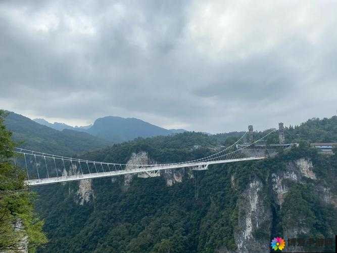 抖阴旅行射张家界董小宛：带你领略不一样的风景与文化