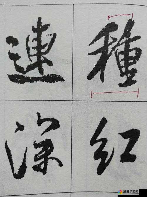 落花飞英剑，虚实皆可变
