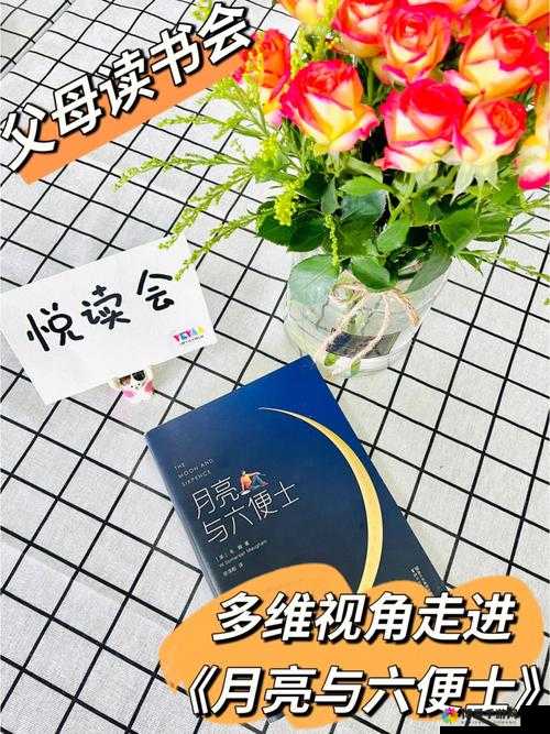 探秘关键词，深度解析与多维视角
