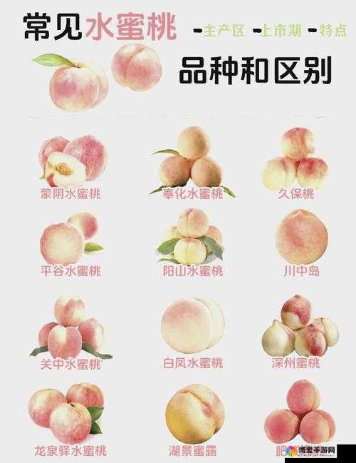 79 国精产品水蜜桃 hd：精选全球美味，带给你不一样的口感体验