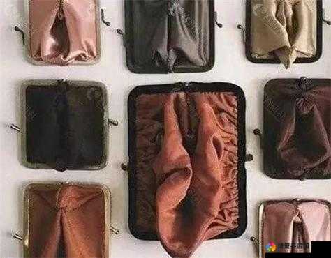 水滴型与馒头型区别解析：全面细致对比及特点分析