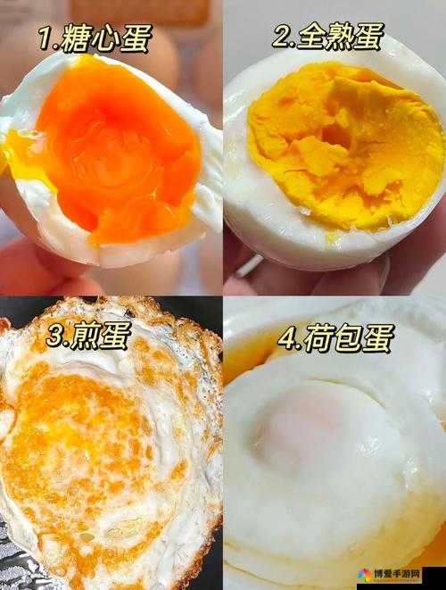 已经四个鸡蛋了不能再塞了- 食物储存的极限是多少?