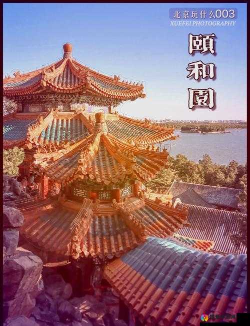 公主在御花园吃龙棍最经典的一句:然后她开始细细品味这独特的美味