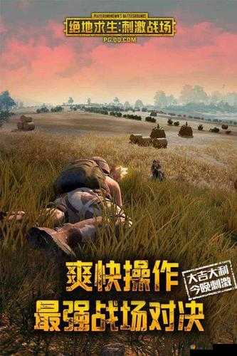 国外 b 站刺激战场直播:惊险刺激的战场对决