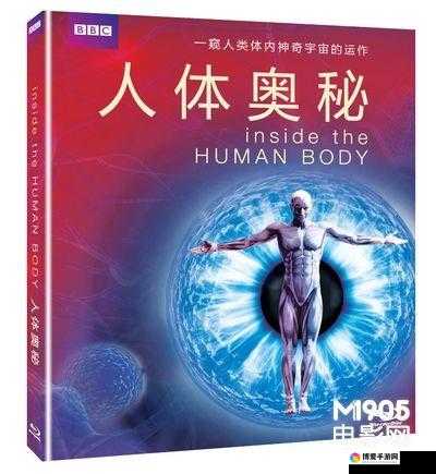 你下水好多下水道 bd：探究下水的奥秘