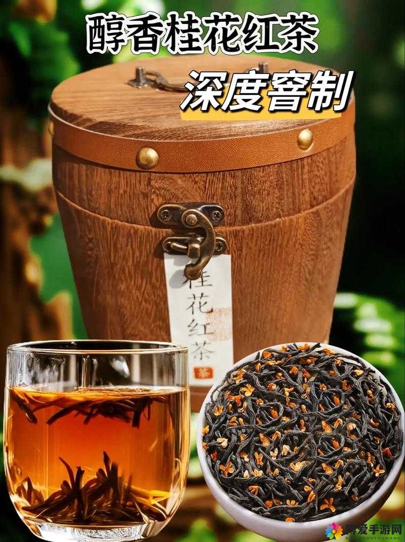 51 品茶最新：带来独特的茶叶品鉴体验之旅