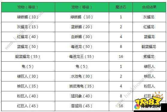 宠物培养与升级进化攻略