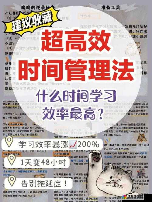 1月16日临时测试开放时间通知在资源管理中的重要性及高效利用策略