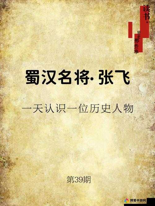 张飞一出，谁与争锋，豪情万丈的勇者传奇