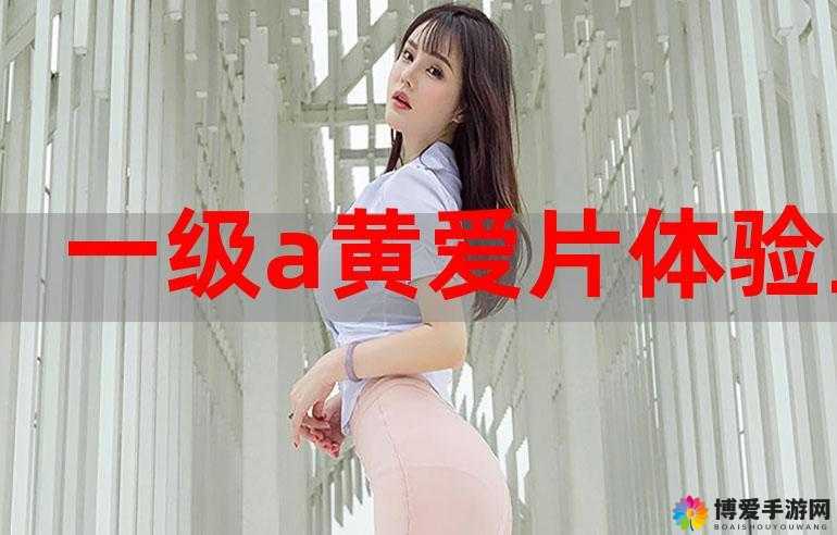 一级 a 免一级 a 做免费线看内裤相关内容解析