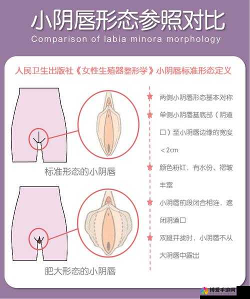 萌白酱内射：探索私密时刻的魅力