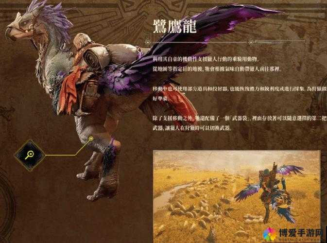 怪物猎人大狩猎，来自异世界的猎人在资源管理中的重要性及策略