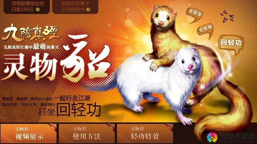 游戏灵物闪电貂现实版在资源管理中的重要性及高效利用策略