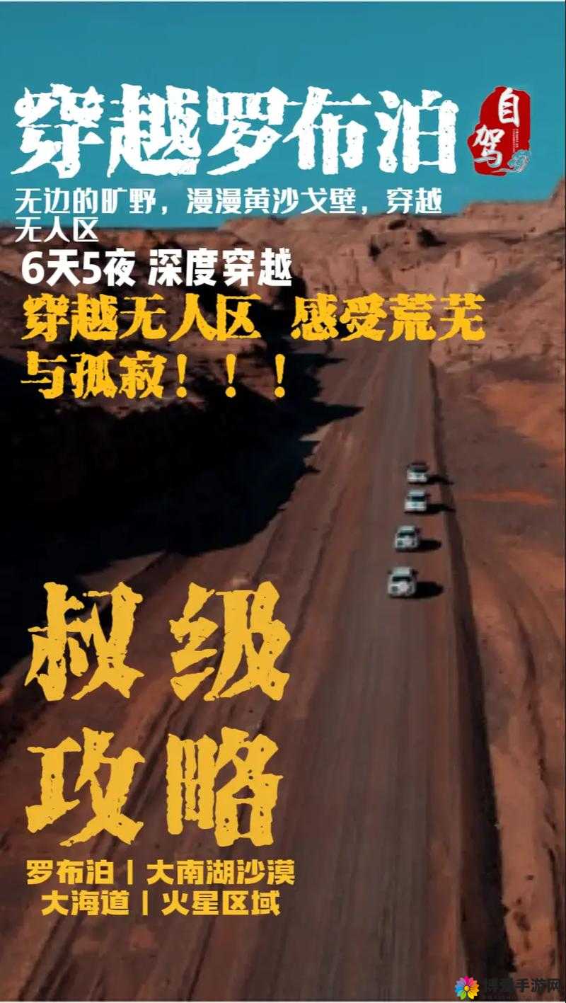 神秘的无人区编码 6229JM：探索未知的冒险之旅