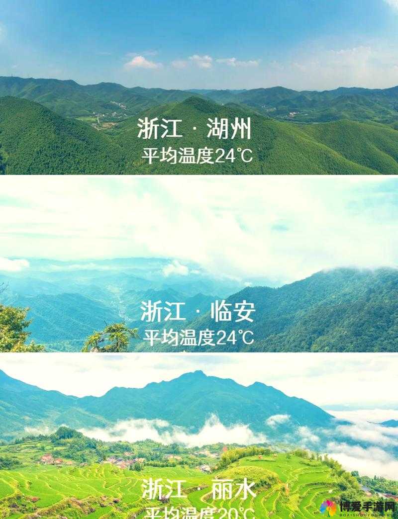 振奋伊春园 2023 入口直达大象：带你开启奇妙之旅