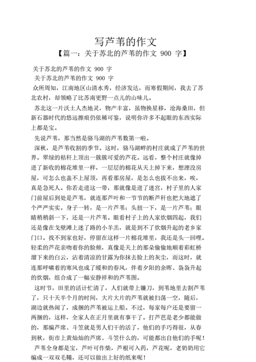 芦苇丛深处中的温情：一段温暖心灵的难忘故事