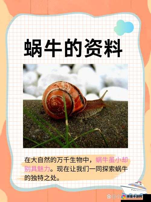 一个上面一个下面嘴巴：关于它的奇妙特征与独特之处的探讨