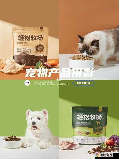 ZOOMSERVO 兽狗牧场：独特的宠物繁殖与训练中心