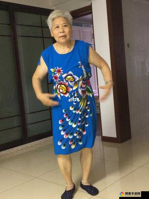 bgmbgmbgm 胖老太太视频高清：那些珍贵的回忆