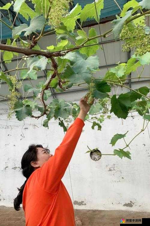 y1uan 大家庭田淑芬：温暖与关爱的凝聚者