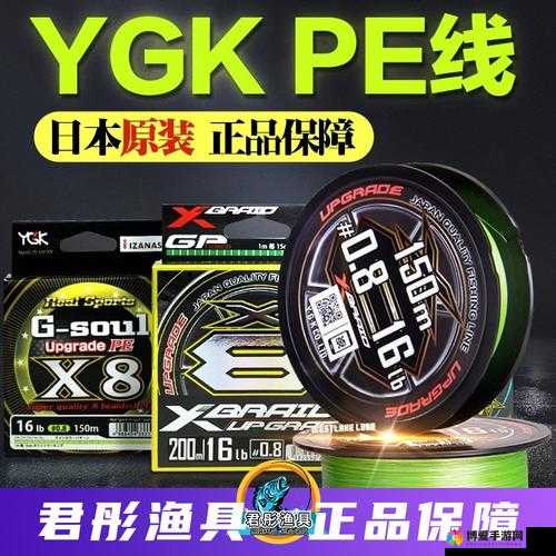 日本插槽 X8 是正规还是仿：深入探究其本质与特点