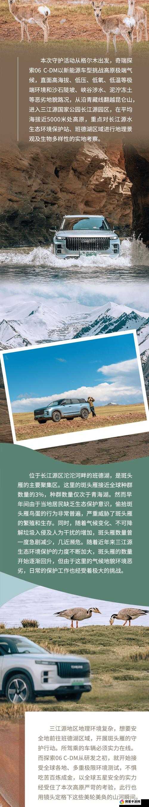 国产无人区码 SUV：探索粗糙背后的神秘与未知