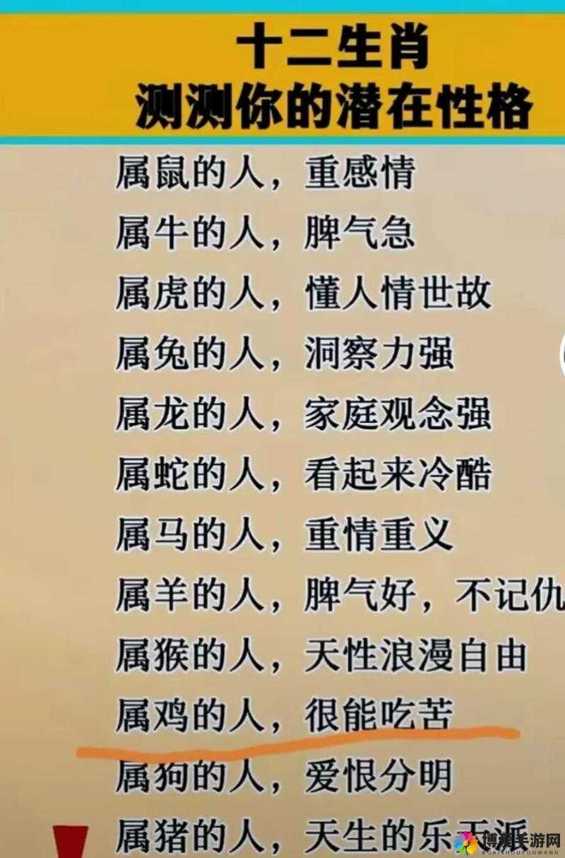 严谨人 or 猪 or 狗：关于三者的深入探讨与比较分析