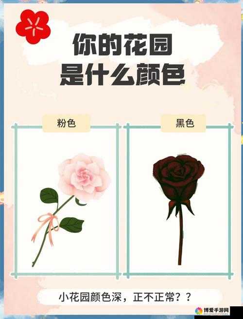 专家揭秘：老公每晚吃小花园，妻子吐槽，到底好不好？