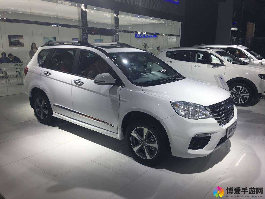 497799 欧洲版的国产 SUV 用户数据造假，谁在说谎？