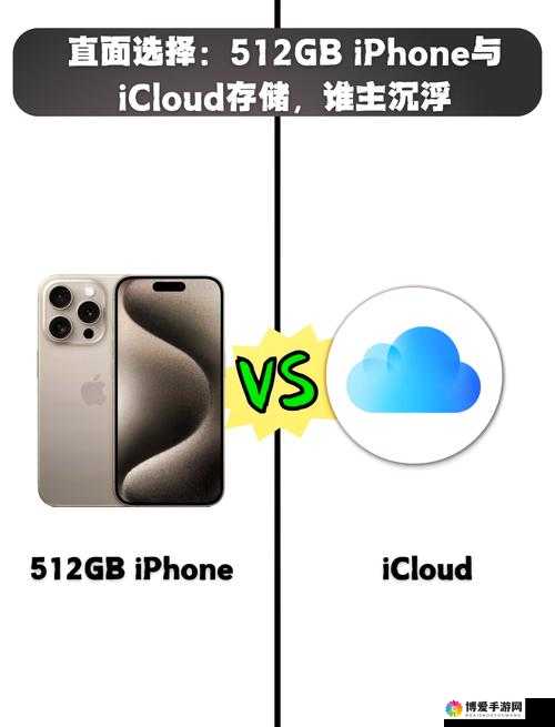 无人公园的狂野内存有多大：关于其内存大小的深入探讨与分析