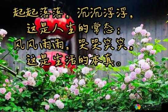 锵锵锵锵锵锵锵锵凄凄切切恰：人生路上的风雨与彩虹