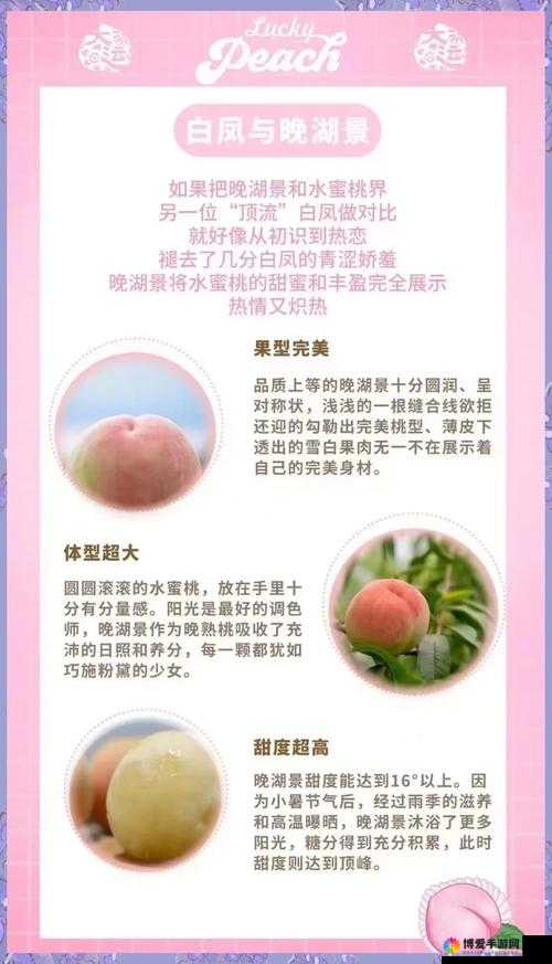 水蜜桃盛宴：探索 x7x7x7x7 水蜜桃的无尽魅力
