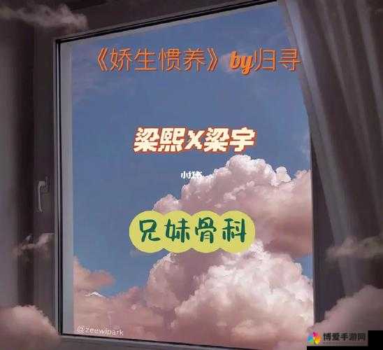 娇生惯养 4PH 简易攻略：轻松掌握攻略技巧