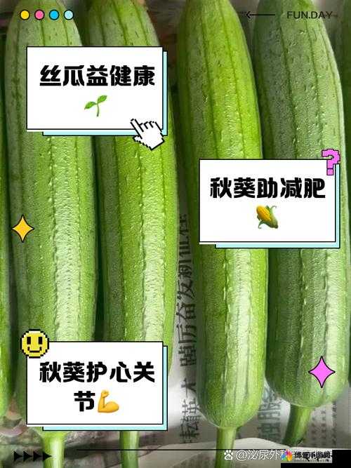 丝瓜秋葵草莓绿巨人：探索大自然的奇妙世界