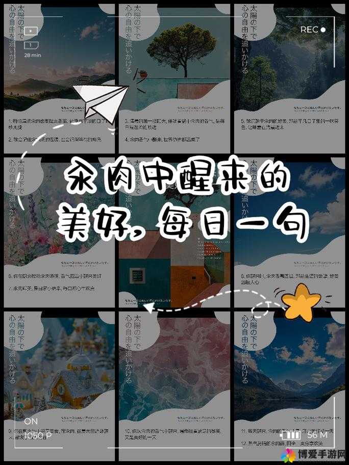 每天都沉浸在汆肉的美妙世界里