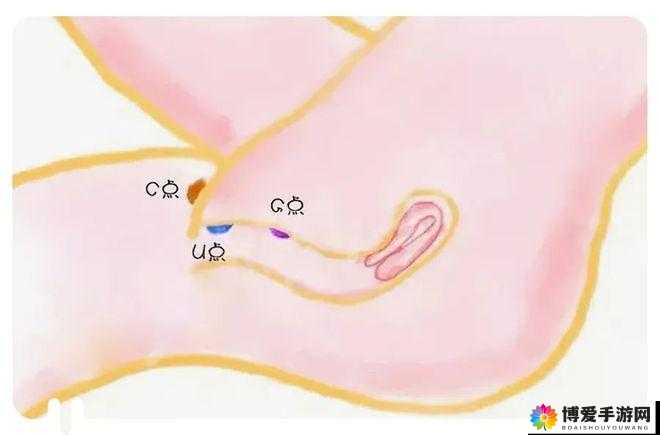 怎样自 w 到高 c 有图片:让你享受前所未有的极致体验