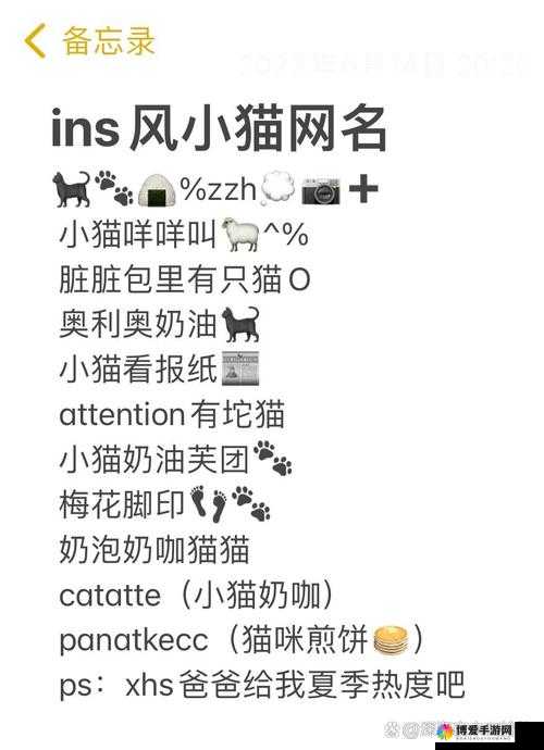 猫咪成年人地域网名怎么取：如何巧妙构思独特网名