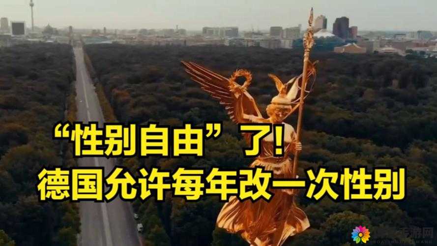 性别自由：探索凸轮管汇编的无限可能