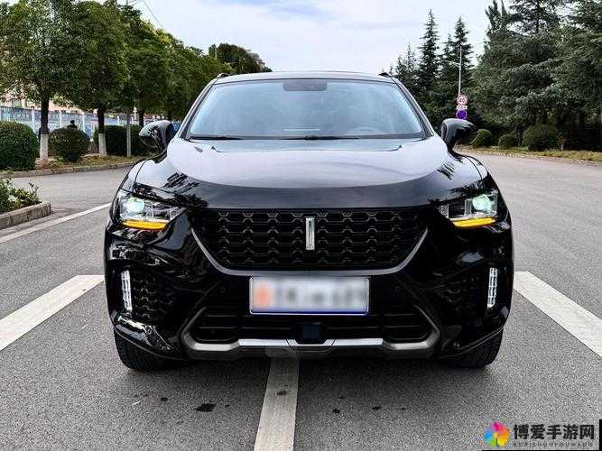 WEYVV5 国产 SUV 的虚拟赛车化:速度与激情的完美呈现