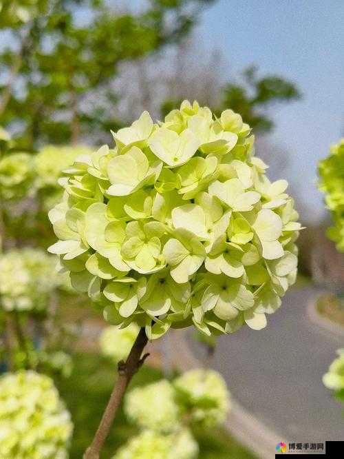 两个人吃花：关于两个人吃花现象的深入探讨与分析