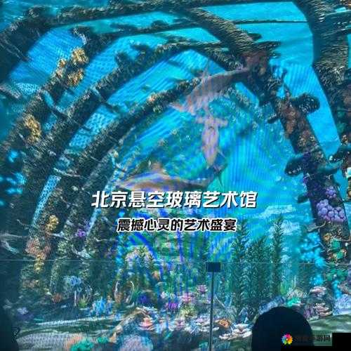 1377 大但人文艺术表演：震撼心灵的艺术盛宴