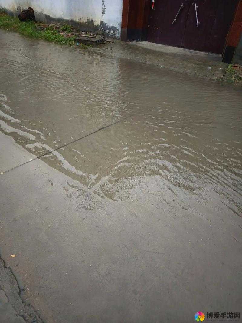 呜呜呜呜呜呜呜呜我想问一下雨：关于雨的诸多疑问探讨