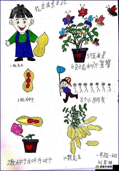 怎样让小豆豆获得快乐：探寻多种方法助力小豆豆拥有快乐童年